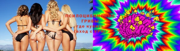 стаф Бородино