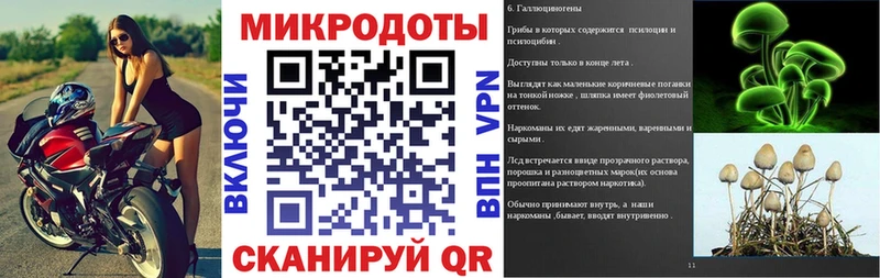 Галлюциногенные грибы ЛСД Зима