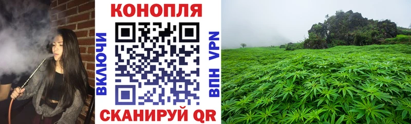 Конопля ГИДРОПОН  Зима 